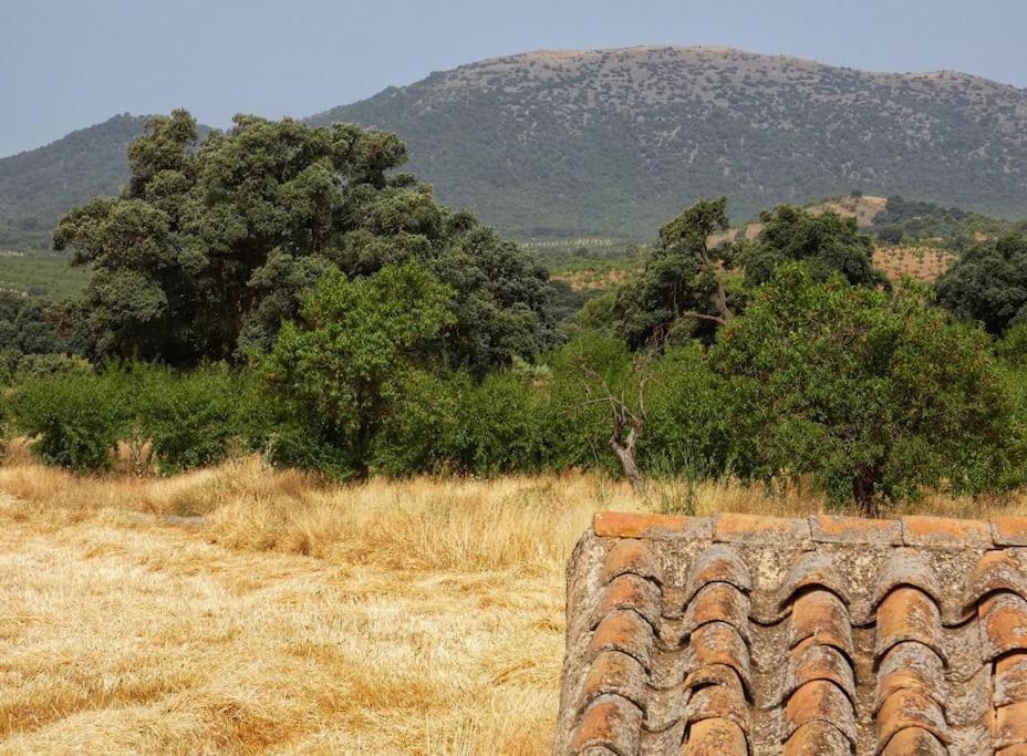 Cortijo Calma - Countryside Peace & Tranquility Apartment Oria Exterior photo
